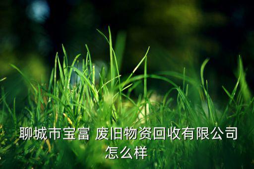  聊城市宝富 废旧物资回收有限公司怎么样