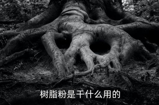  树脂粉是干什么用的