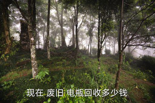 现在 废旧 电瓶回收多少钱