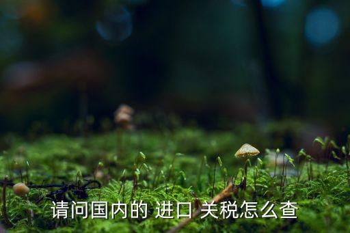请问国内的 进口 关税怎么查