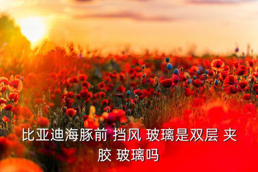比亚迪海豚前 挡风 玻璃是双层 夹胶 玻璃吗