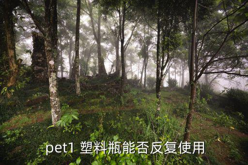  pet1 塑料瓶能否反复使用