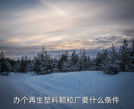 废旧吨袋造粒用,废塑料回收业四大重要问题