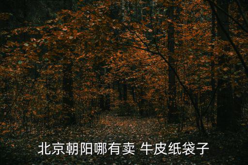 北京朝阳哪有卖 牛皮纸袋子