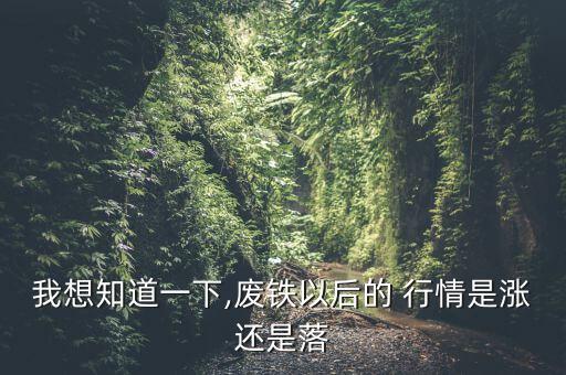 我想知道一下,废铁以后的 行情是涨还是落