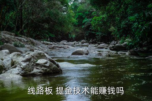 线路板 提金技术能赚钱吗