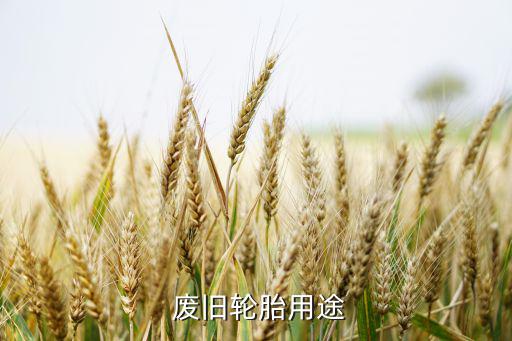  废旧轮胎用途