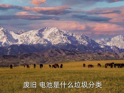  废旧 电池是什么垃圾分类