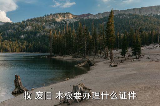 收 废旧 木板要办理什么证件