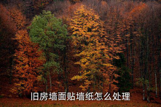 旧房墙面贴墙纸怎么处理