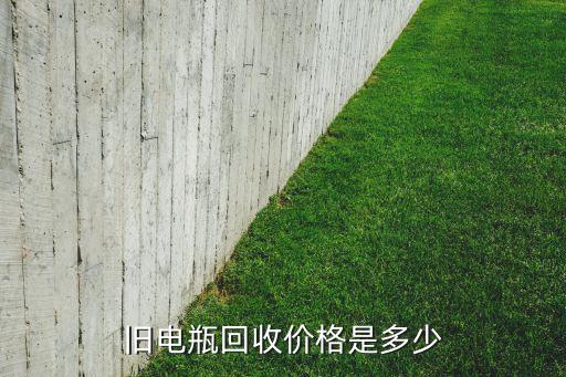 废旧电池价格,电动自行车废旧电池回收价格上涨