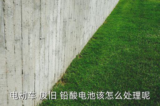 电动车 废旧 铅酸电池该怎么处理呢