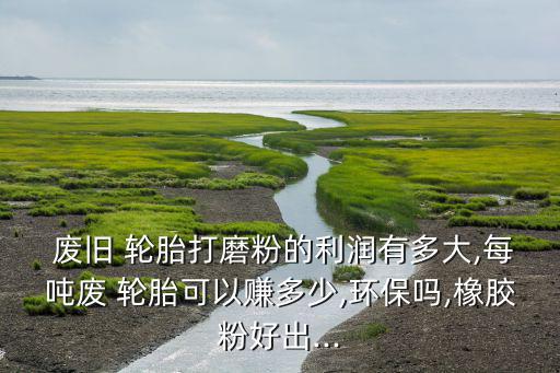  废旧 轮胎打磨粉的利润有多大,每吨废 轮胎可以赚多少,环保吗,橡胶粉好出...