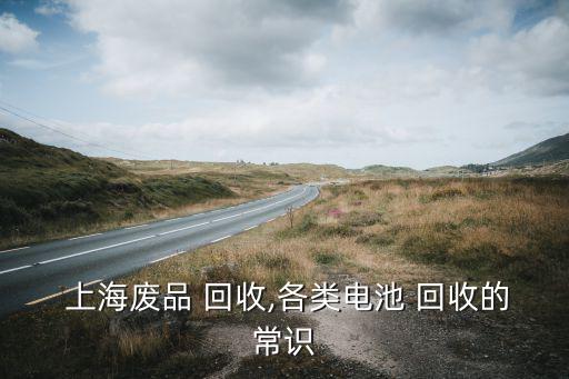上海普通废旧干电池回收点,日本废旧电池上海统一回收处理