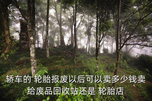 轿车的 轮胎报废以后可以卖多少钱卖给废品回收站还是 轮胎店