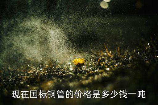 现在国标钢管的价格是多少钱一吨