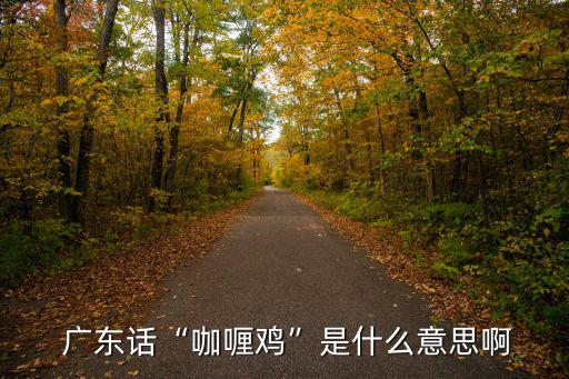  广东话“咖喱鸡”是什么意思啊