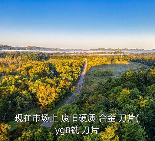 现在市场上 废旧硬质 合金 刀片(yg8铣 刀片