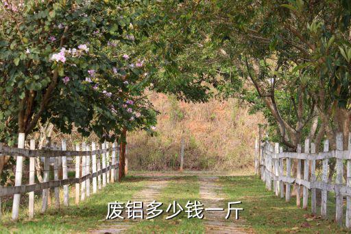 废旧杂铝行情,废铝回收再利用