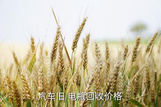 废旧电瓶再生厂,废旧电瓶加强回收利用显得越来越重要