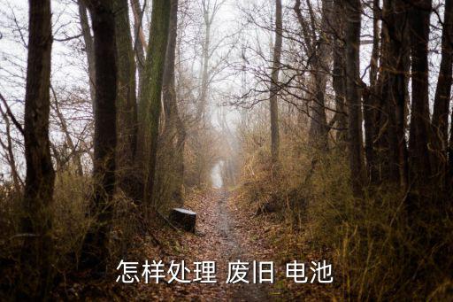 怎样处理 废旧 电池
