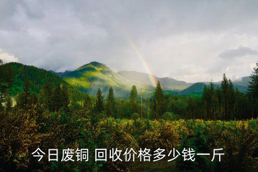 今日废铜 回收价格多少钱一斤
