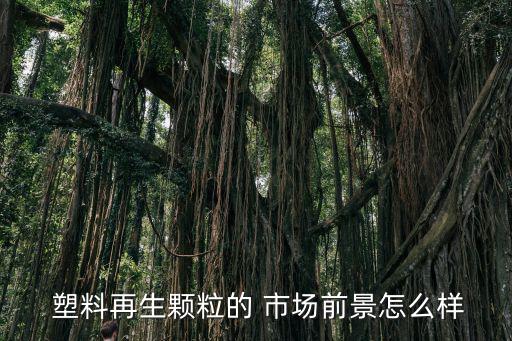  塑料再生颗粒的 市场前景怎么样