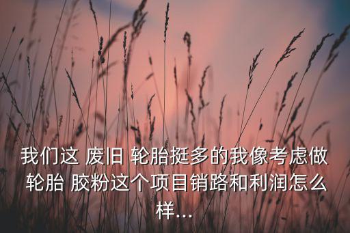 我们这 废旧 轮胎挺多的我像考虑做 轮胎 胶粉这个项目销路和利润怎么样...