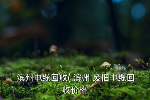  滨州电缆回收( 滨州 废旧电缆回收价格