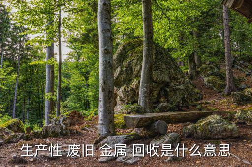 生产性 废旧 金属 回收是什么意思