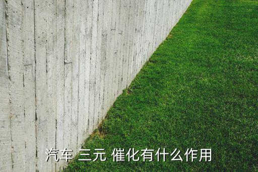 汽车 三元 催化有什么作用