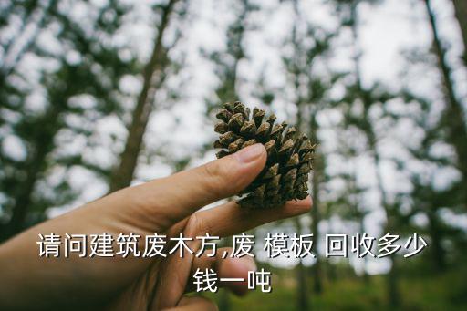 请问建筑废木方,废 模板 回收多少钱一吨