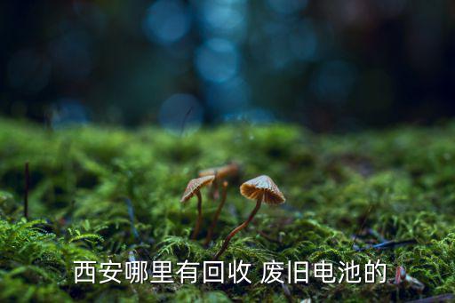  西安哪里有回收 废旧电池的