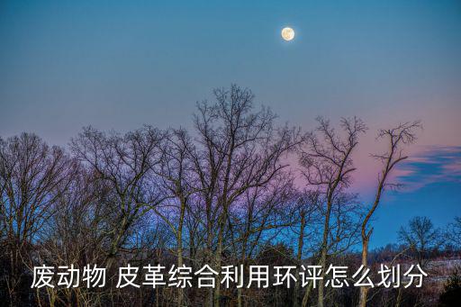 废动物 皮革综合利用环评怎么划分