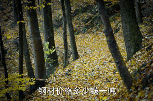 钢材价格多少钱一吨