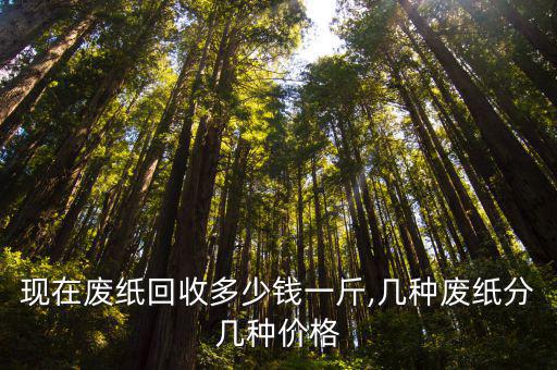 废旧牛皮纸,废纸比废铁更值钱!