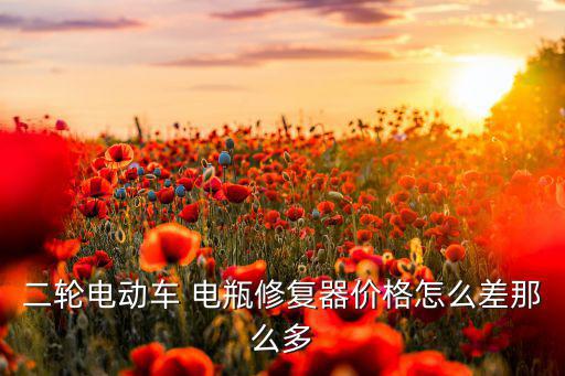 二轮电动车 电瓶修复器价格怎么差那么多