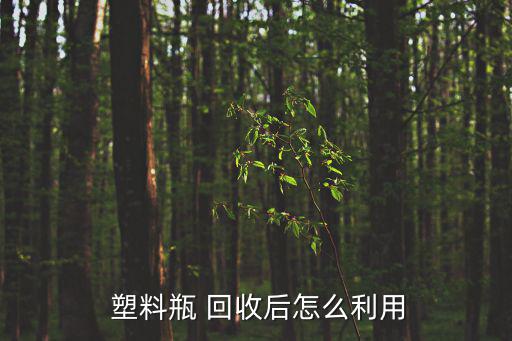 废旧塑料瓶回收市场,废弃物塑料可分为简单回收和复合回收