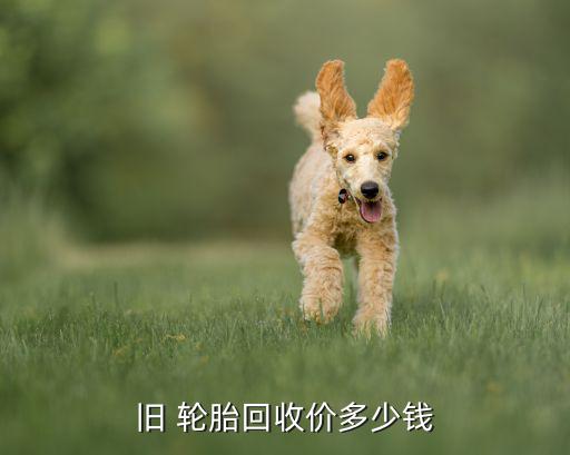 旧 轮胎回收价多少钱