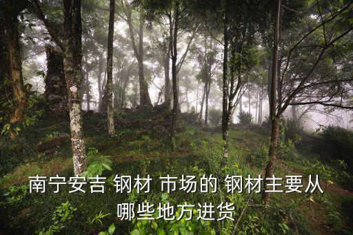 南宁安吉 钢材 市场的 钢材主要从哪些地方进货