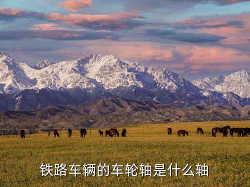 什么地方有卖废旧火车轴的,火车车轴是铁路运输安全关键部件