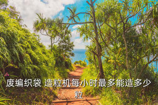 废编织袋 造粒机每小时最多能造多少粒