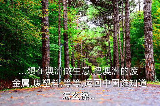 ...想在澳洲做生意,把澳洲的废 金属,废塑料,等等,运回中国谁知道怎么操...