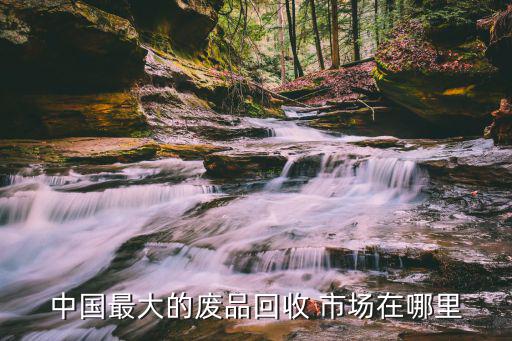 中国最大的废品回收 市场在哪里