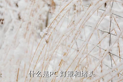 废旧pc灯罩行情,聚碳酸酯插头什么是led灯?