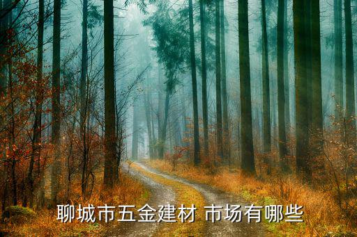  聊城市五金建材 市场有哪些
