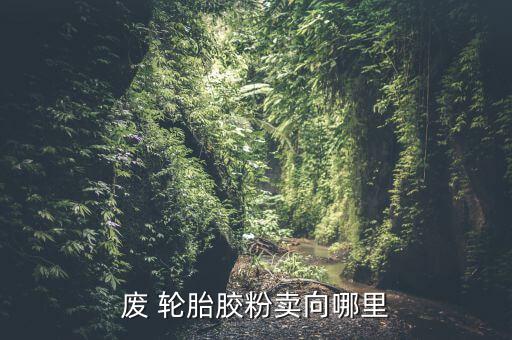 废 轮胎胶粉卖向哪里