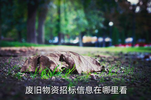  废旧物资招标信息在哪里看