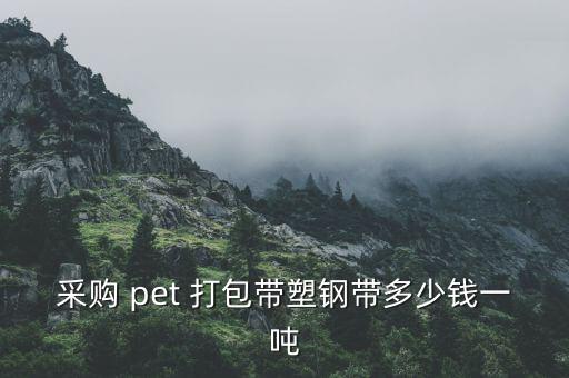 采购 pet 打包带塑钢带多少钱一吨