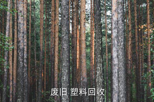  废旧 塑料回收